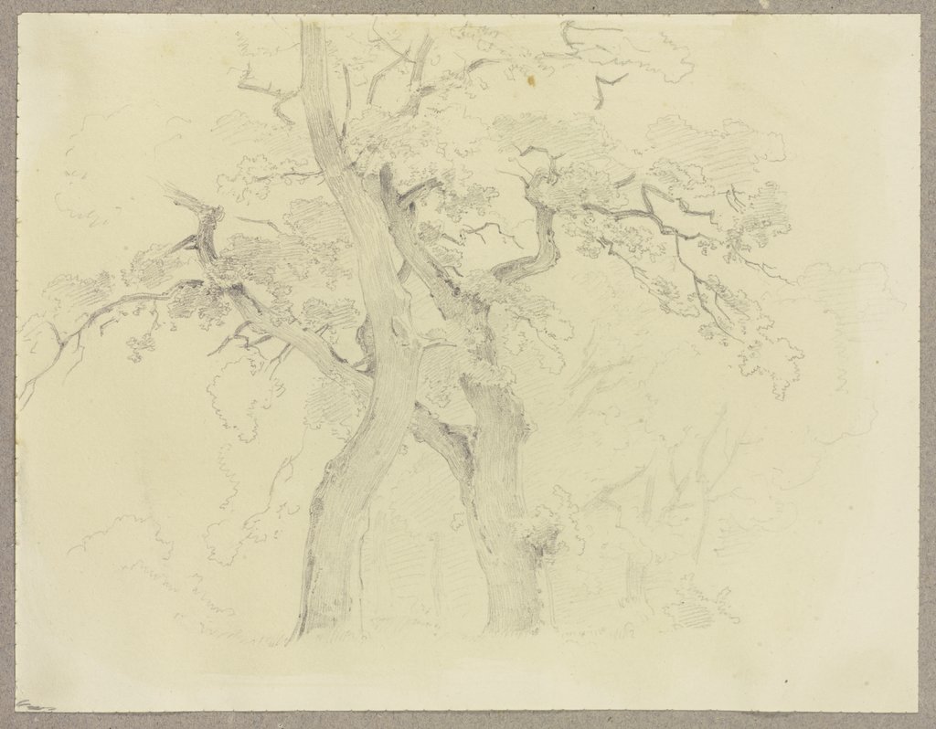 Waldpartie, Carl Theodor Reiffenstein