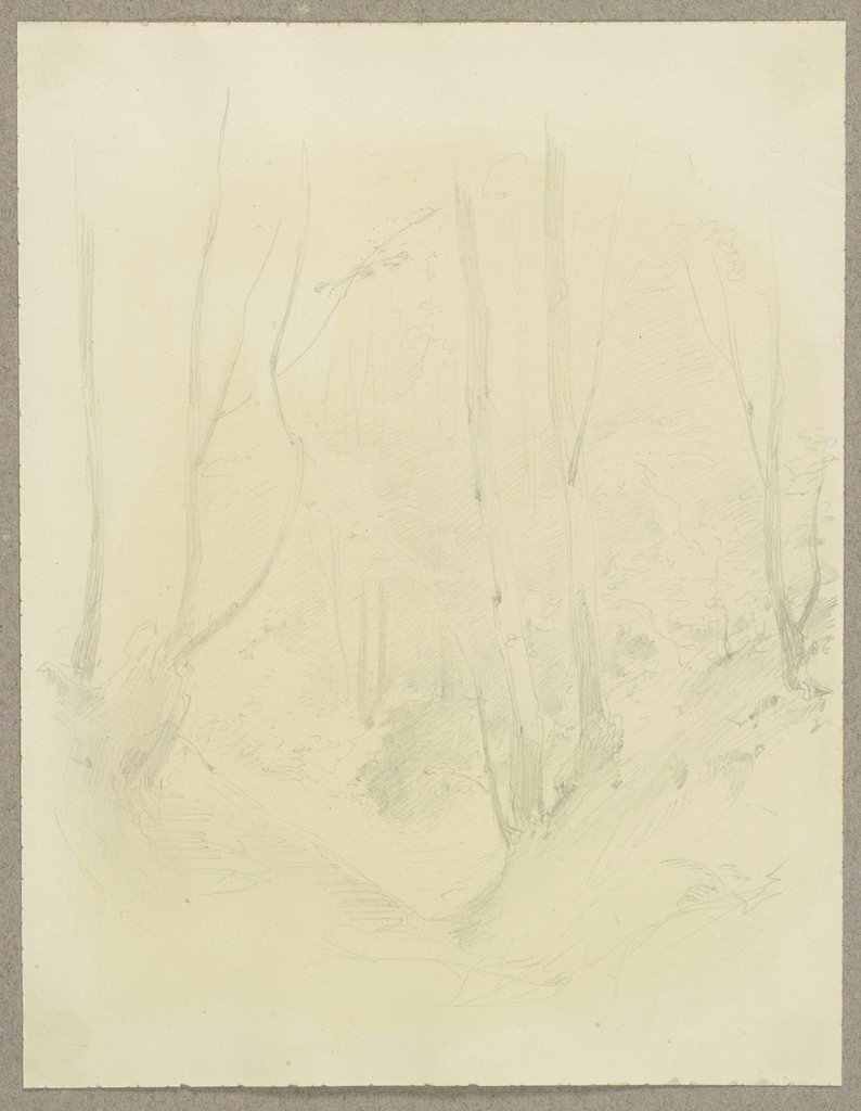 Waldpartie, Carl Theodor Reiffenstein