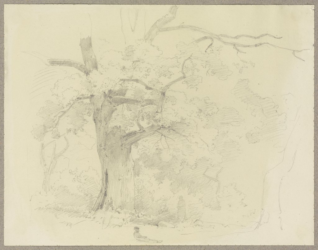Waldpartie, im Vordergrund ein alter Baum, Carl Theodor Reiffenstein