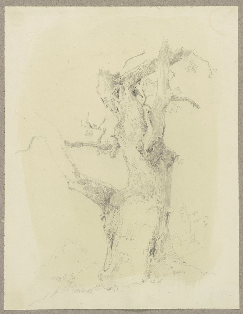 Knorriger Baum, Carl Theodor Reiffenstein