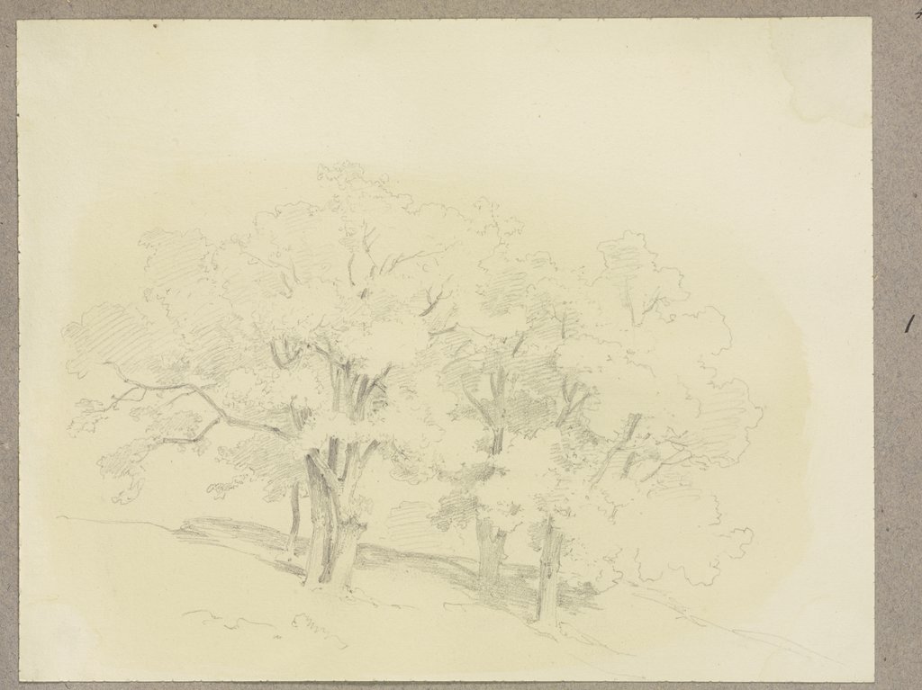 Group of trees, Carl Theodor Reiffenstein