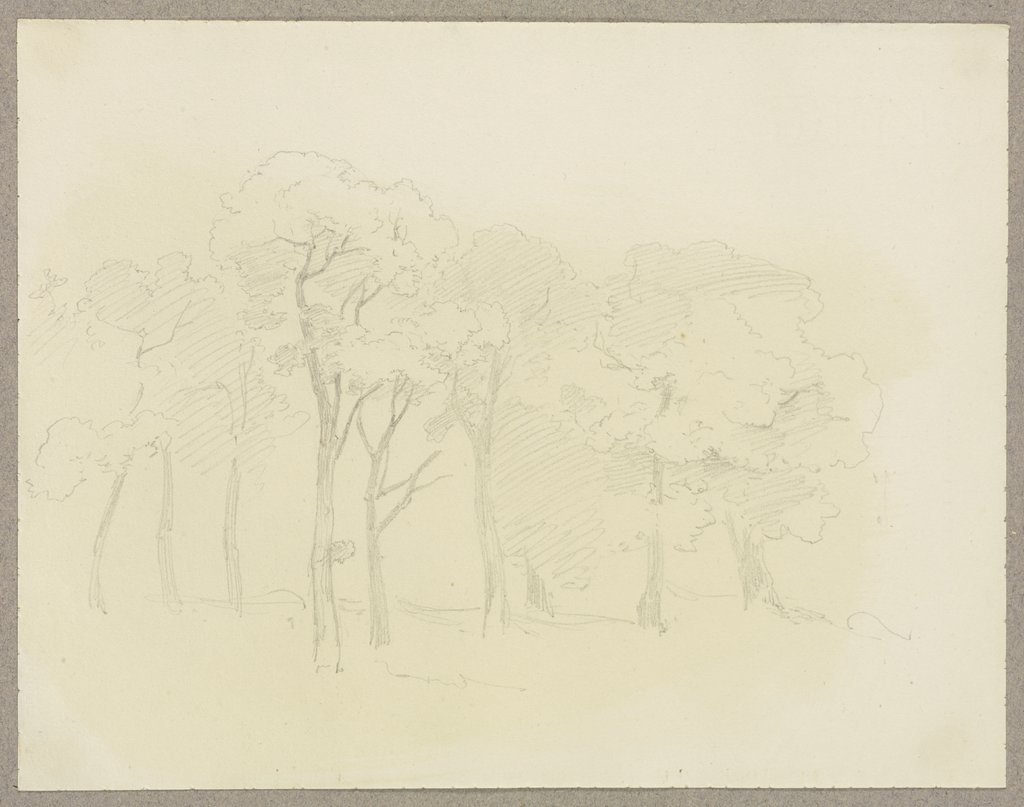 Bäume, Carl Theodor Reiffenstein