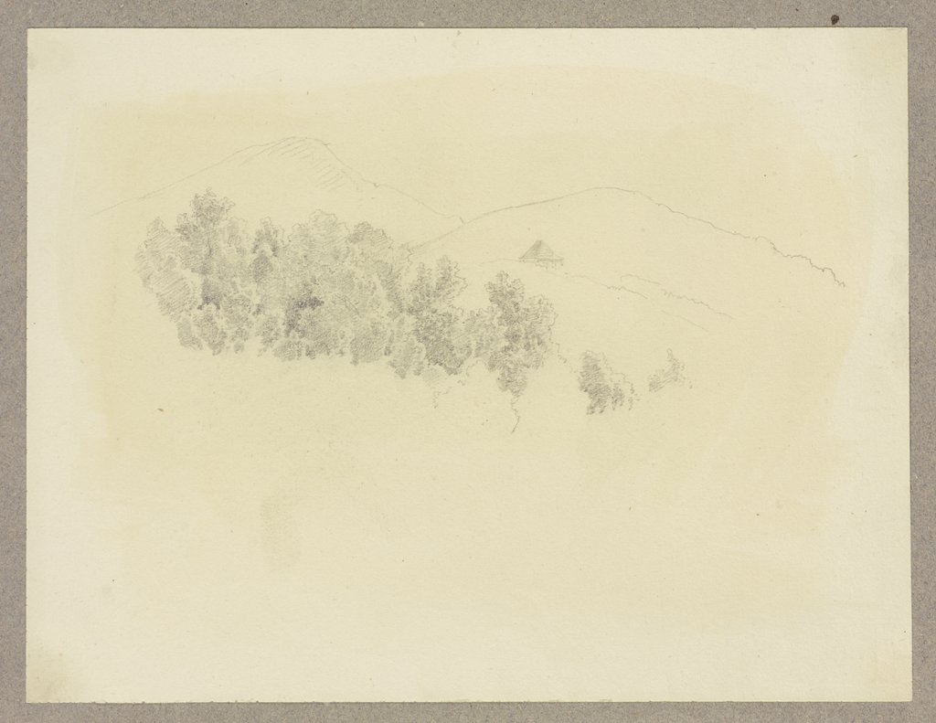 Baumkronen, im Hintergrund angedeutet bewaldete Berge und eine Hütte, Carl Theodor Reiffenstein