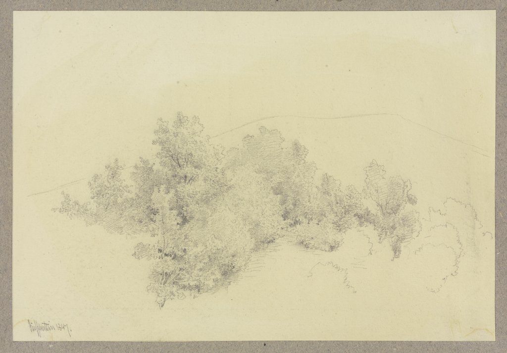 Bäume und Sträucher, im Hintergrund eine Bergsilhouette, Carl Theodor Reiffenstein