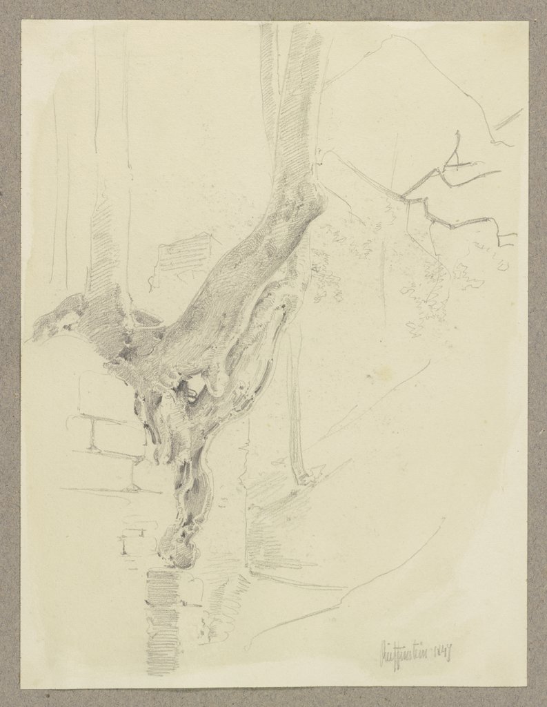 Alter Baum, auf einer geborstenen Mauer wachsend, Carl Theodor Reiffenstein