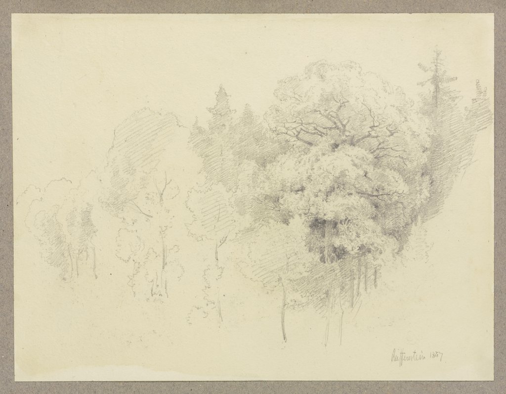 Waldpartie, Carl Theodor Reiffenstein
