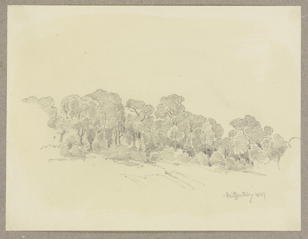 Waldrand, Carl Theodor Reiffenstein