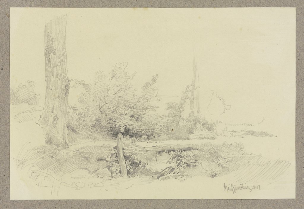 Forest ground, Carl Theodor Reiffenstein