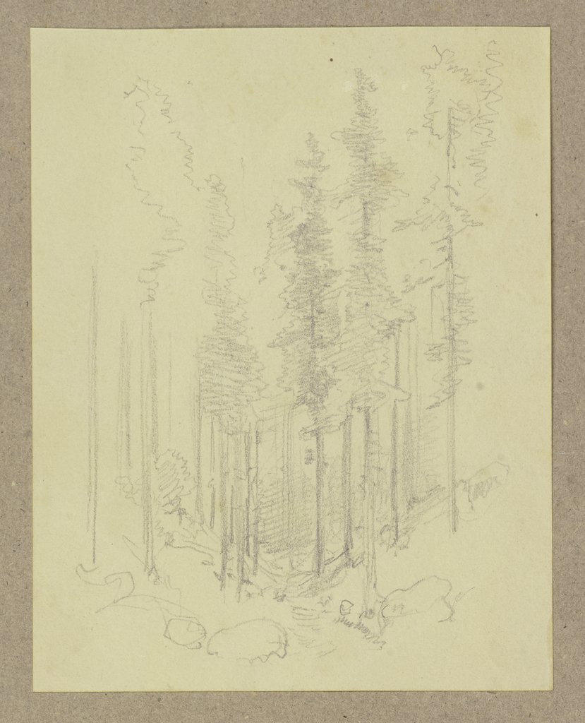 Waldpartie in einer Talsenke, Carl Theodor Reiffenstein