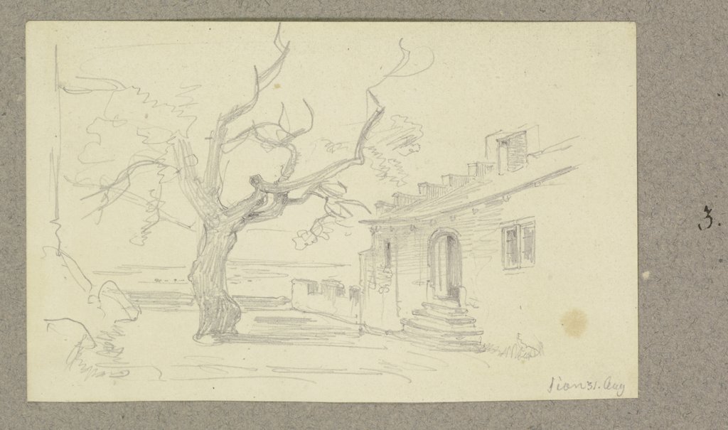 Nahezu kahler Baum auf einem Platz in Sitten, Carl Theodor Reiffenstein