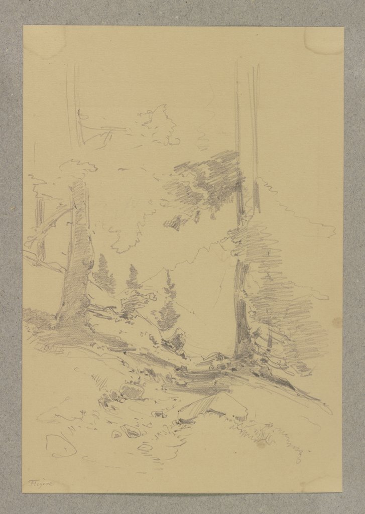 Forest path with mountains, Carl Theodor Reiffenstein