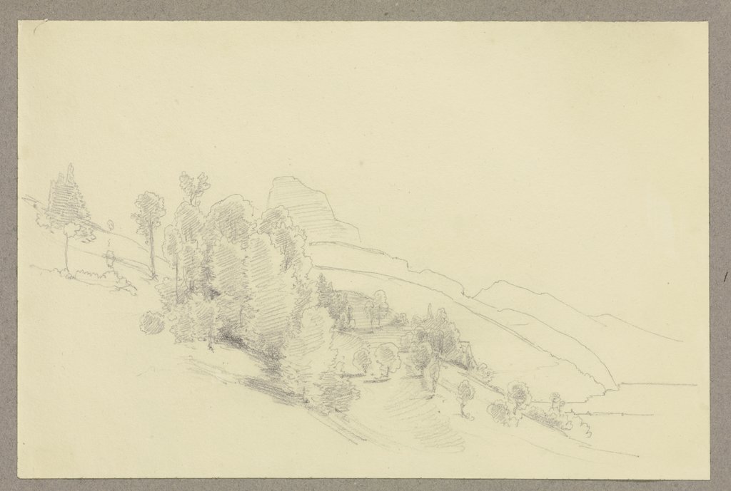 Bewaldeter Hang in einer Gebirgslandschaft, Carl Theodor Reiffenstein