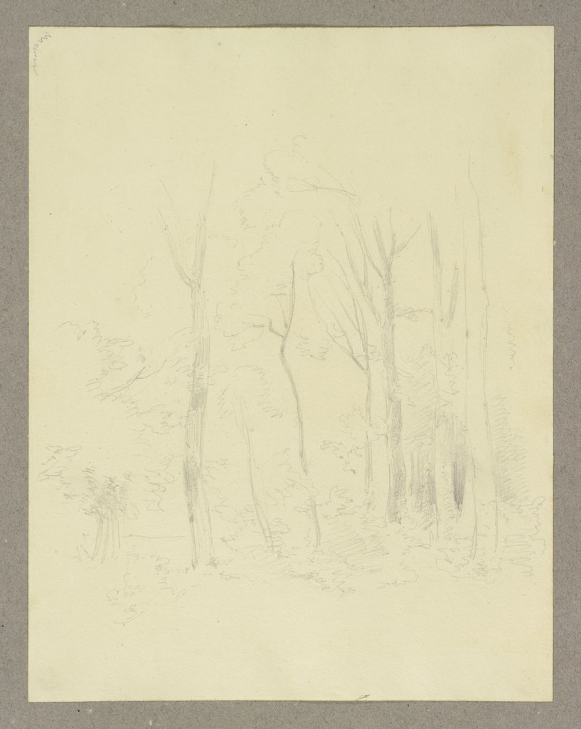 Waldpartie, Carl Theodor Reiffenstein