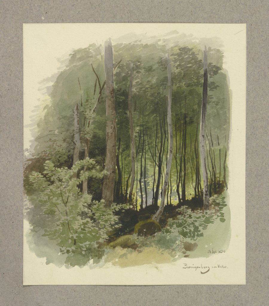 Wald bei Zwingenberg am Neckar, Carl Theodor Reiffenstein