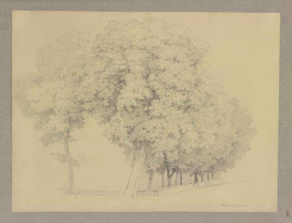 Baumgruppe an einem Mäuerchen, Carl Theodor Reiffenstein