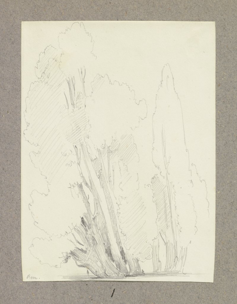 Cypresses in Rome, Carl Theodor Reiffenstein