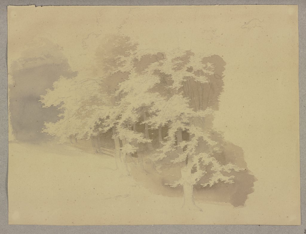 Waldstück, Carl Theodor Reiffenstein