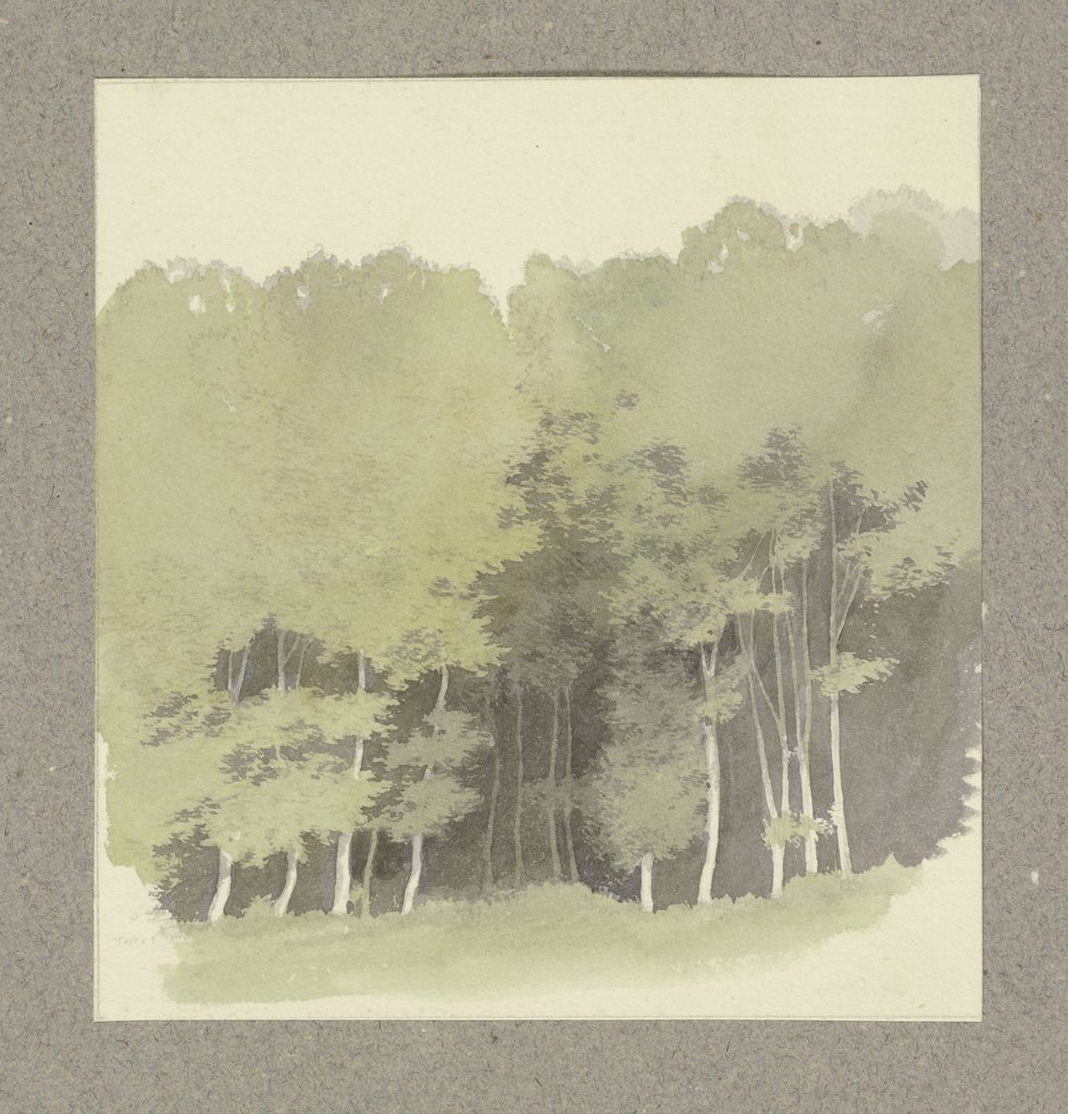 Edge of a wood, Carl Theodor Reiffenstein