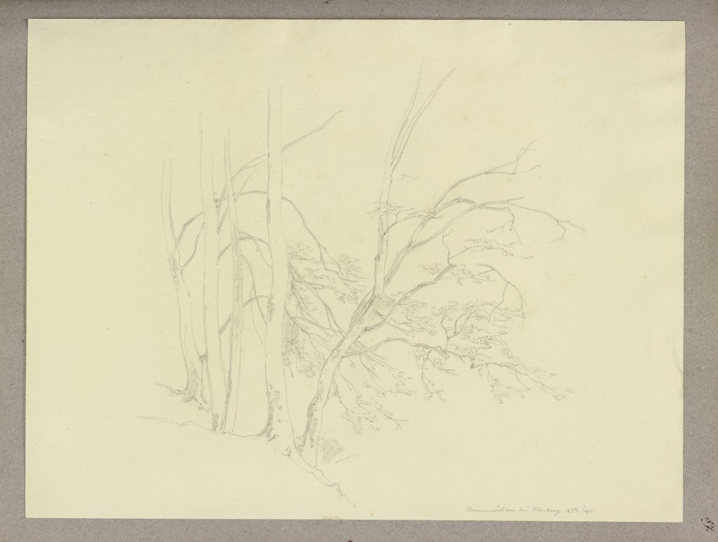 Baumgruppe am steilen Hang, Carl Theodor Reiffenstein