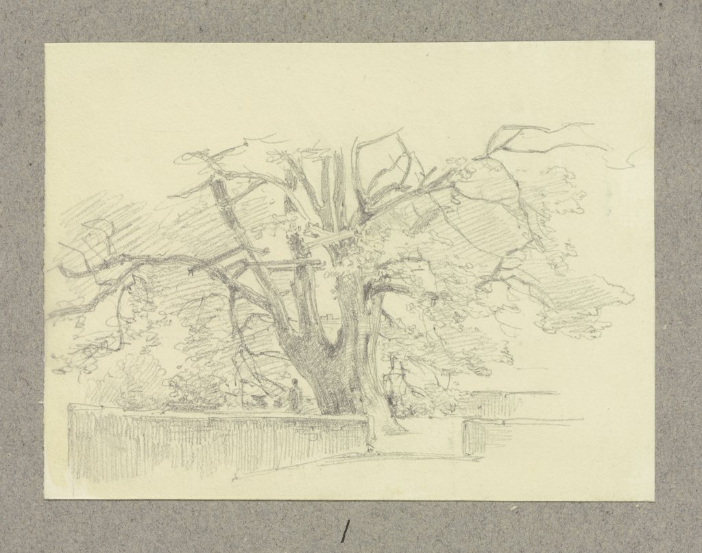Alter Baum, umgeben von Mäuerchen, Carl Theodor Reiffenstein