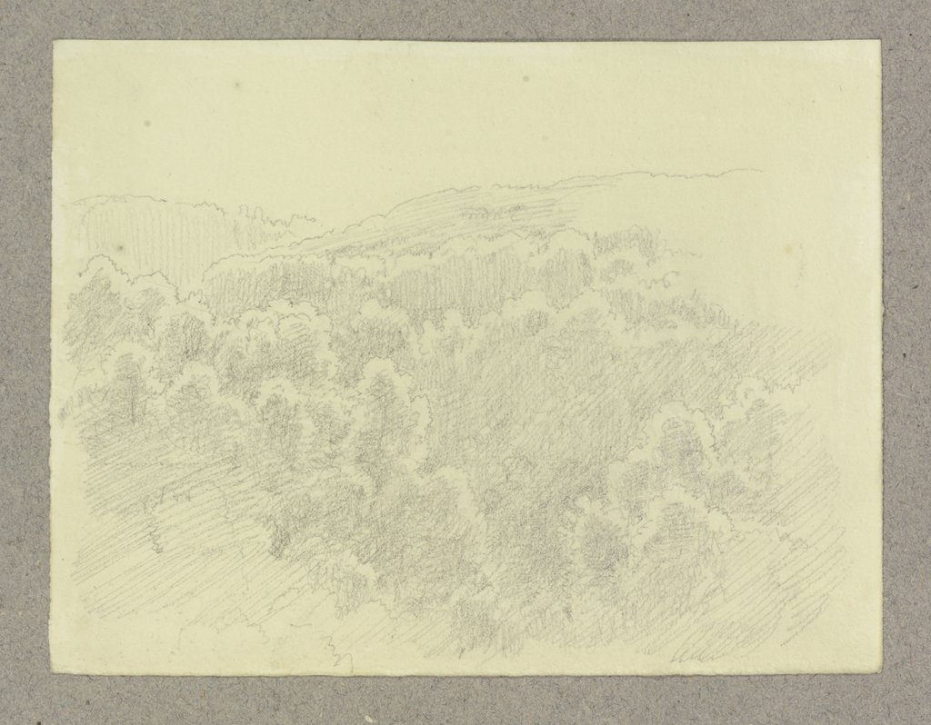 Wooded hilly landscape, Carl Theodor Reiffenstein