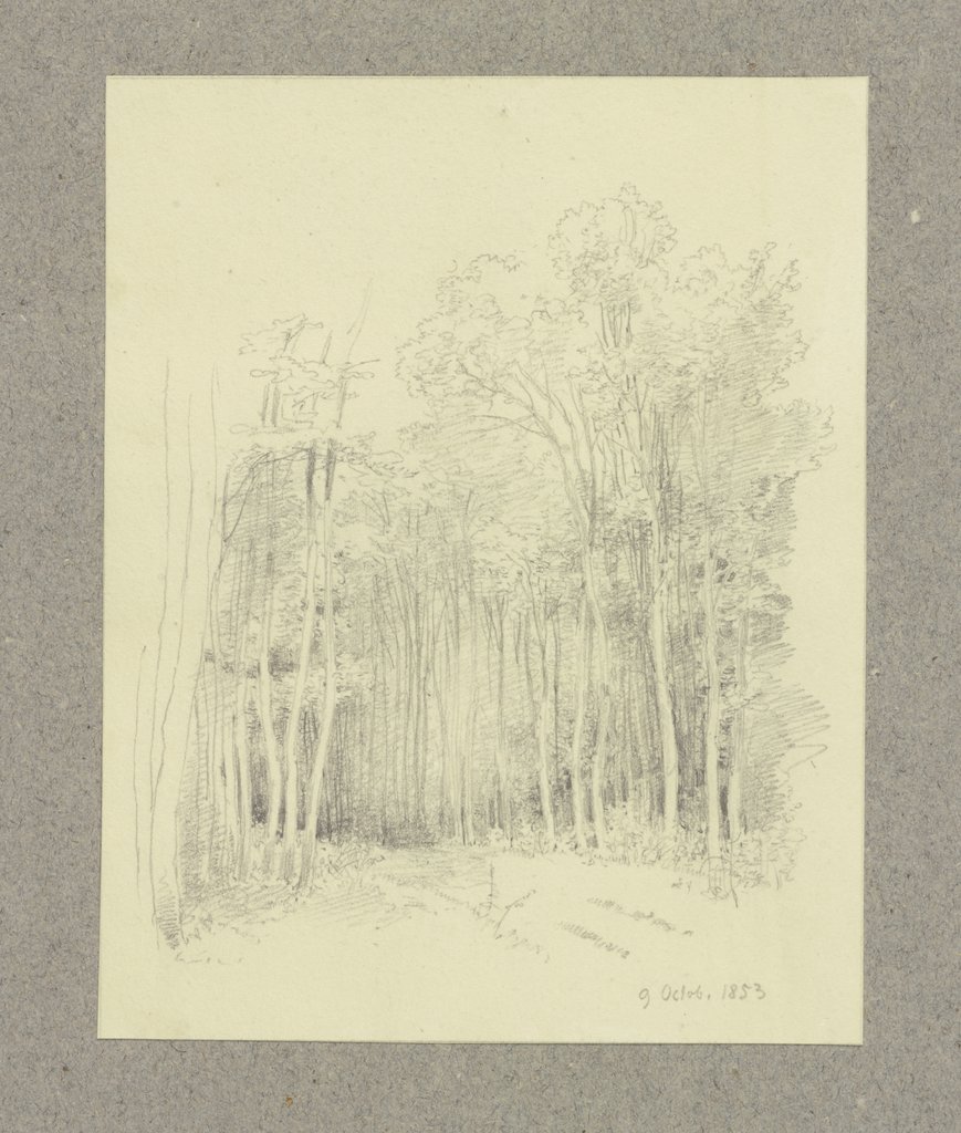 Forest path, Carl Theodor Reiffenstein