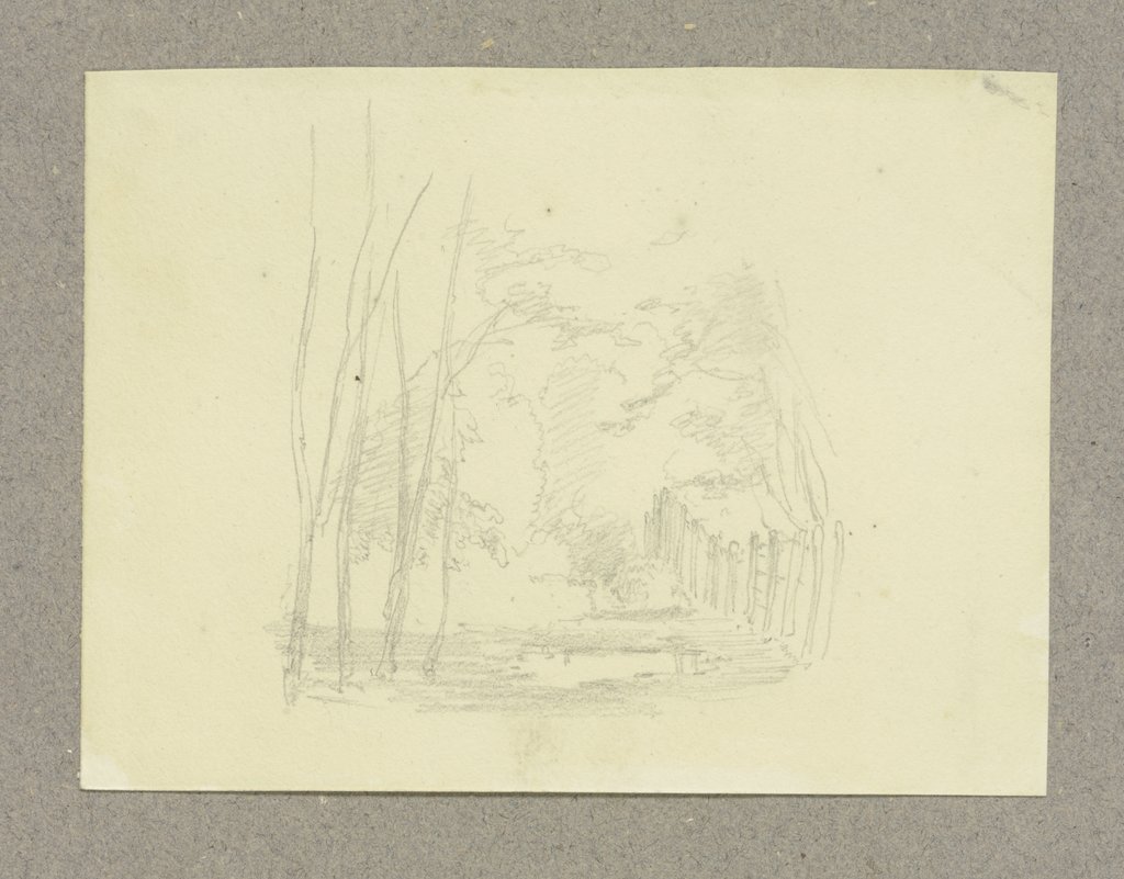 Waldlichtung mit Pfütze, Carl Theodor Reiffenstein
