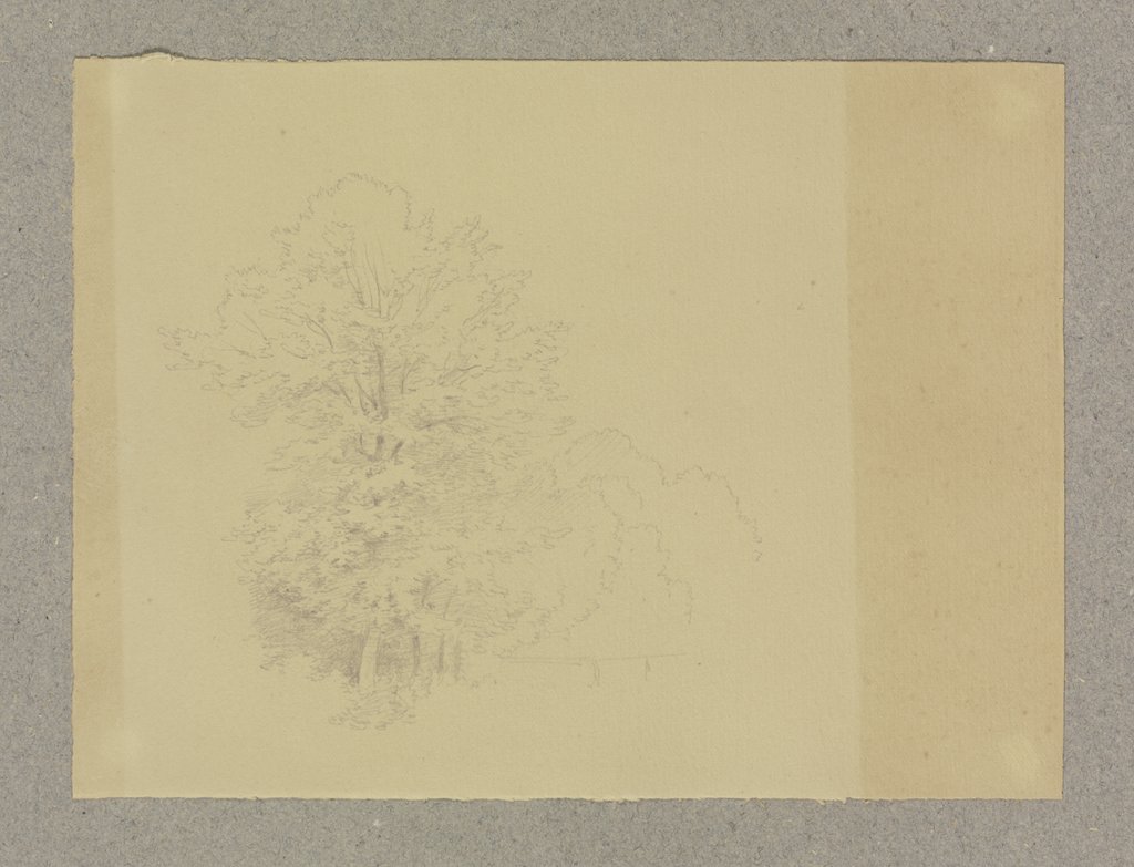 Baumreihe, Carl Theodor Reiffenstein