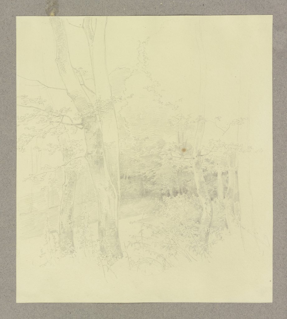 Waldpartie, Carl Theodor Reiffenstein