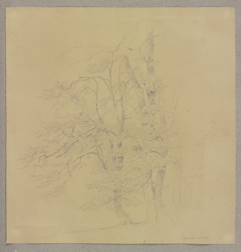 Bäume bei Braunfels, Carl Theodor Reiffenstein