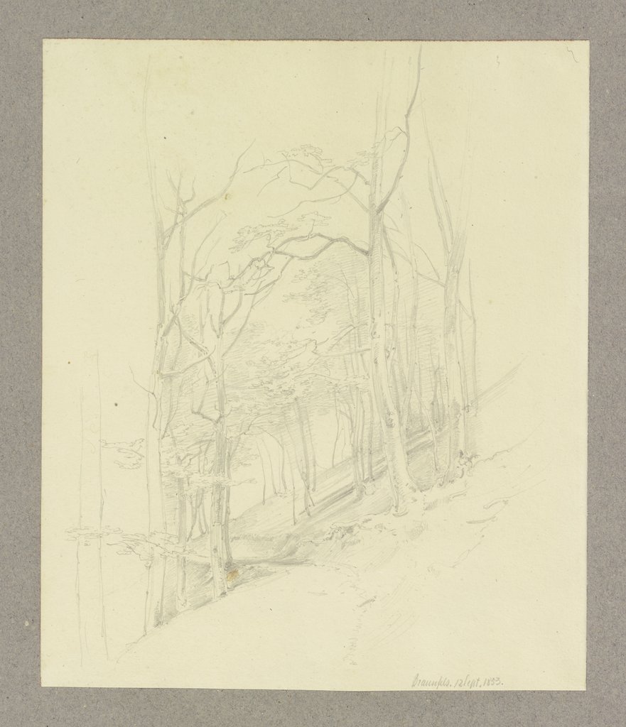 Waldstück an einem Hang bei Braunfels, Carl Theodor Reiffenstein