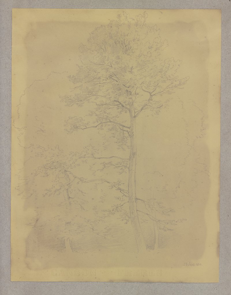 Baumgruppe, Carl Theodor Reiffenstein