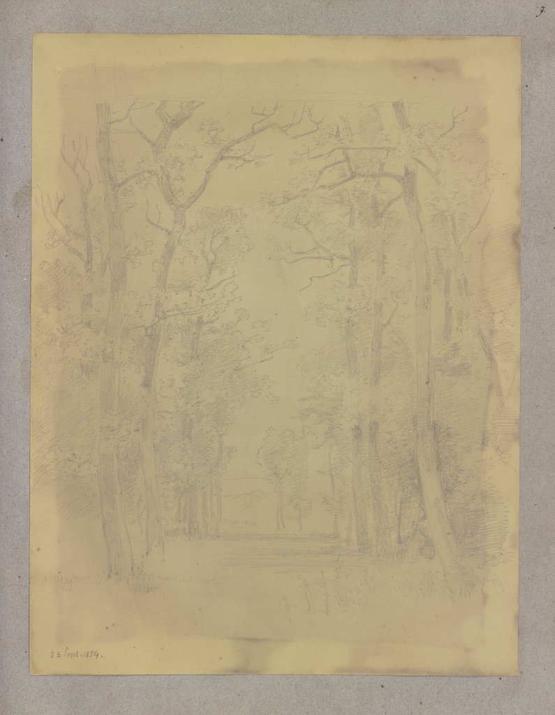 Waldweg, Carl Theodor Reiffenstein