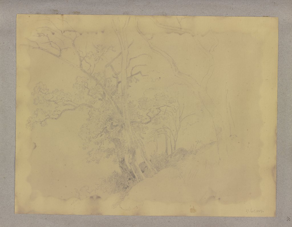 Baumgruppe am Hang, Carl Theodor Reiffenstein