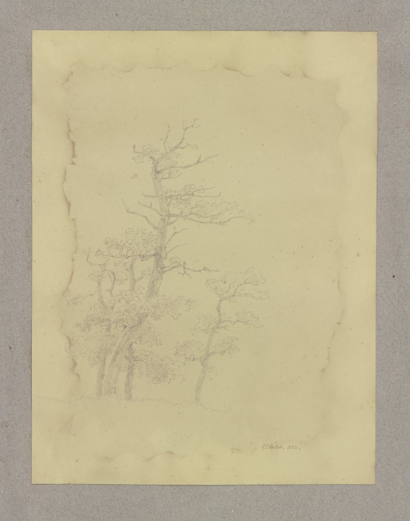 Group of leafless trees, Carl Theodor Reiffenstein