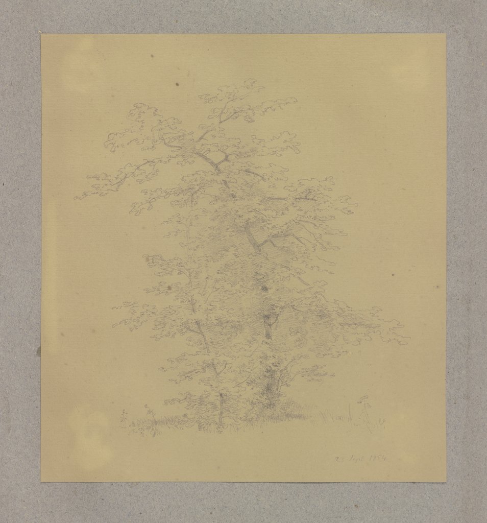 Baum, Carl Theodor Reiffenstein