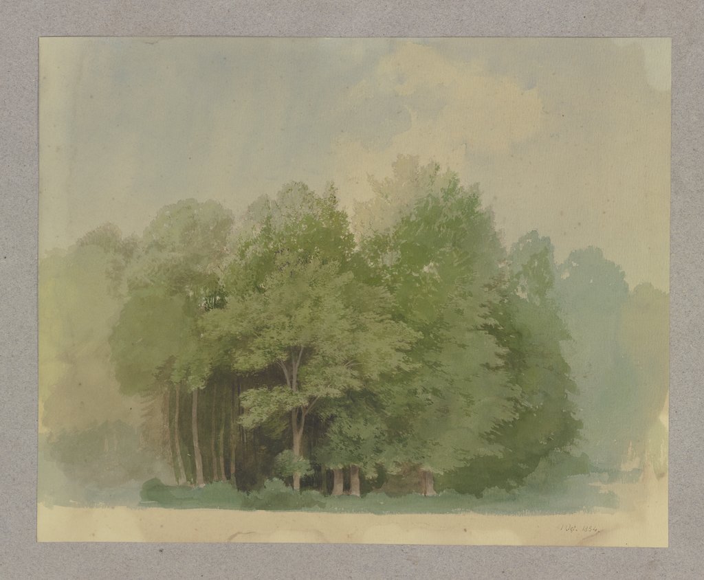 Waldstück, Carl Theodor Reiffenstein