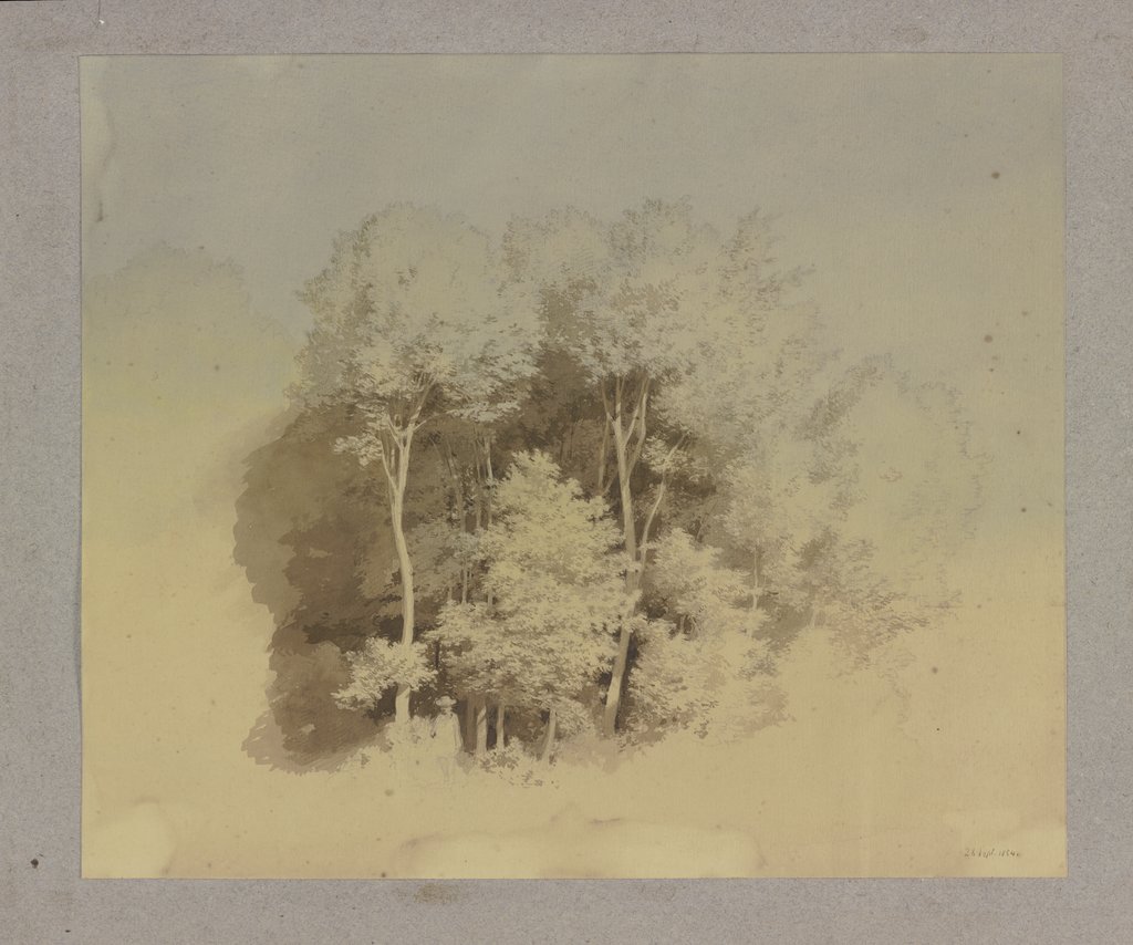 Waldstück, Carl Theodor Reiffenstein