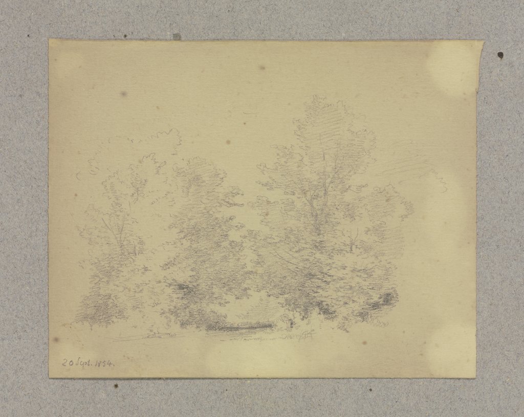 Tree-covered forest, Carl Theodor Reiffenstein
