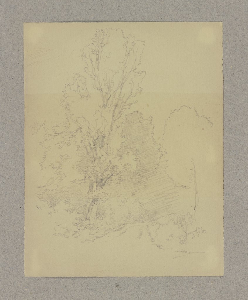Baum an einem Fahrweg, Carl Theodor Reiffenstein