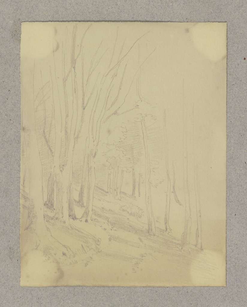 Waldweg, Carl Theodor Reiffenstein