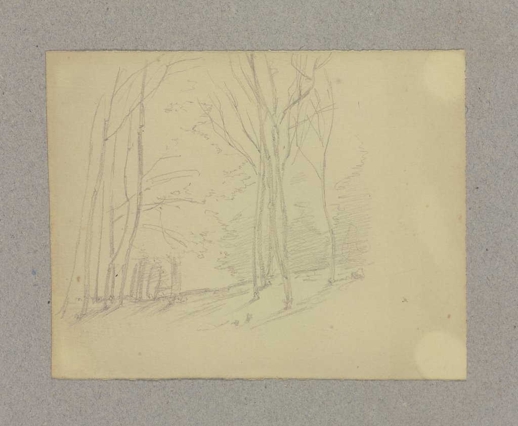 Waldpartie, Carl Theodor Reiffenstein