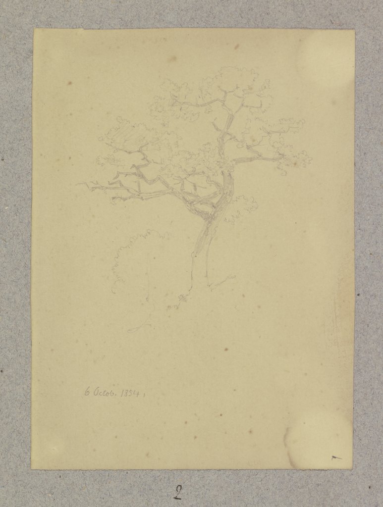 Baum, Carl Theodor Reiffenstein