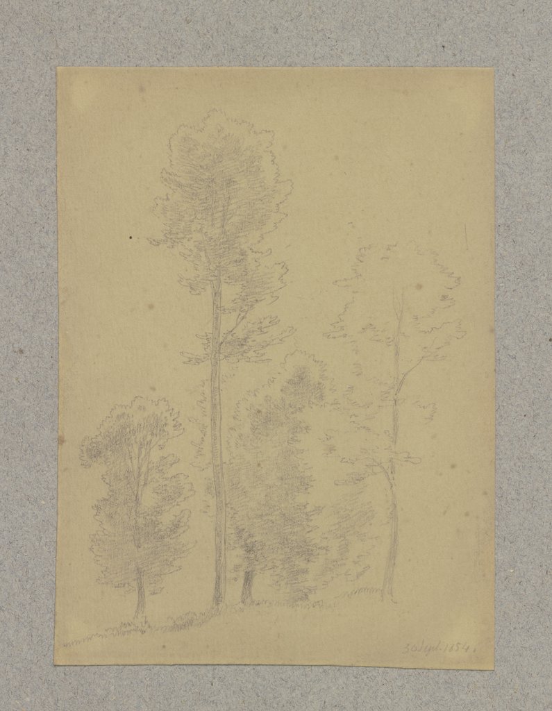 Group of trees, Carl Theodor Reiffenstein