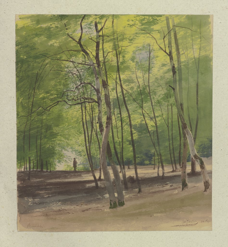 Waldpartie bei Braunfels, Carl Theodor Reiffenstein
