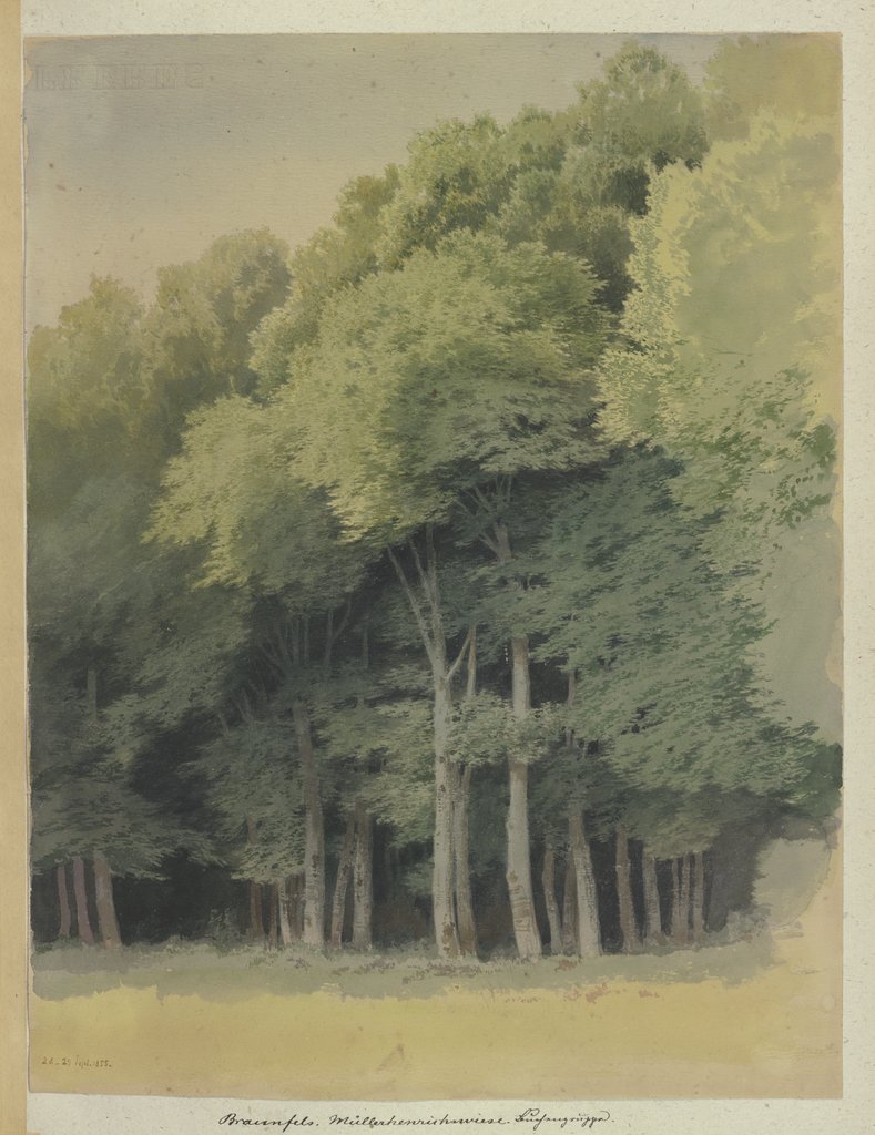 Forest edge near Braunfels, Carl Theodor Reiffenstein