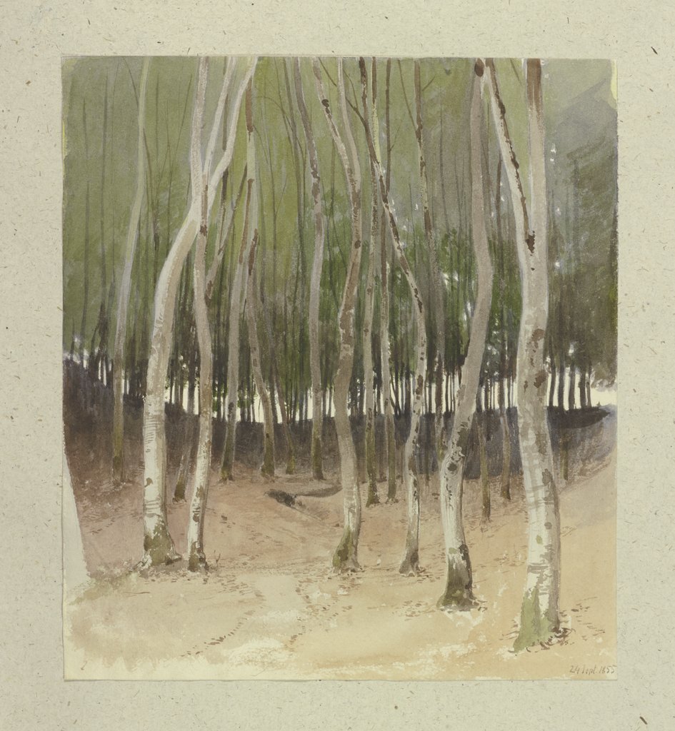 Birch forest, Carl Theodor Reiffenstein