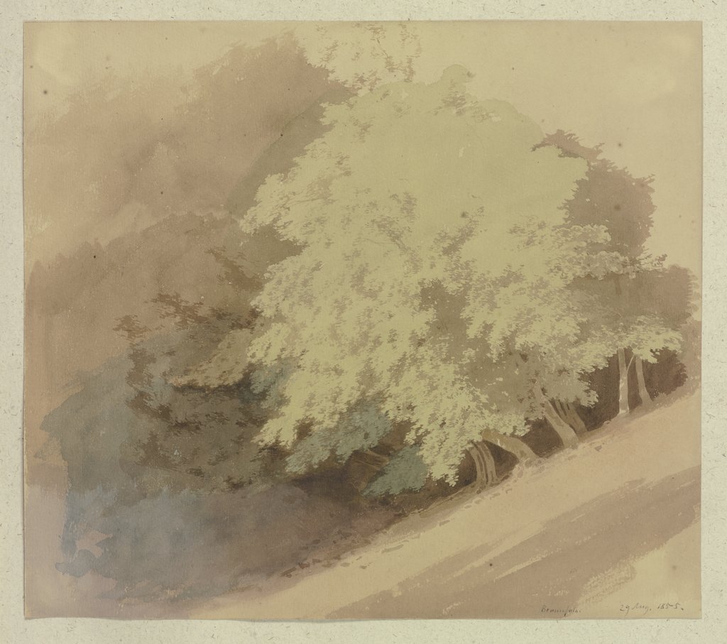 Bäume an einem Hang bei Braunfels, Carl Theodor Reiffenstein