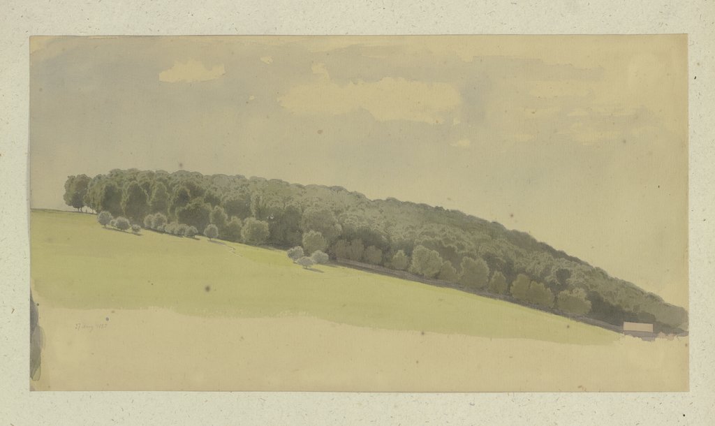Forested mountain slope, Carl Theodor Reiffenstein