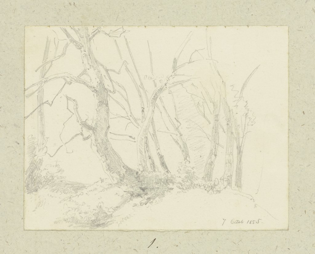 Group of trees, Carl Theodor Reiffenstein